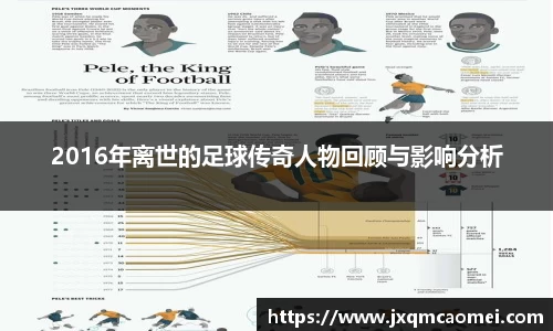 2016年离世的足球传奇人物回顾与影响分析
